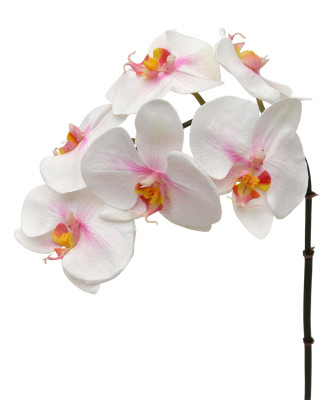 Mākslīgās orhidejas zars (55 cm)