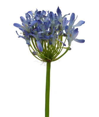 Konstgjord Afrikas Blå Lilja kvist (60 cm)