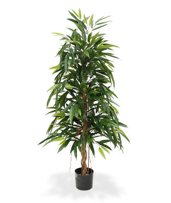 Longifolia Royal artificial 150 cm 