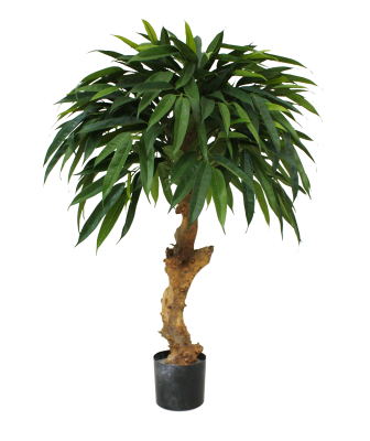 Mākslīgā Longifolia Royal (90 cm)