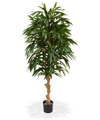 Mākslīgā Longifolia Royal Deluxe (90 cm)