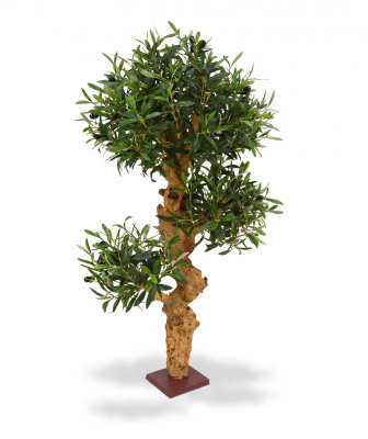 Оливковый бонсай (90 см)