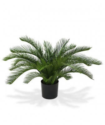 Mākslīgā Cycas palma Deluxe (60 cm) UV