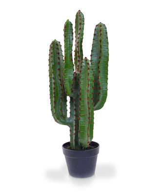 Euphorbia Cactus artificial 70 cm no pote