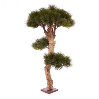 Árvore Bonsai Pinho (Pinus) artificial 85 cm na base
