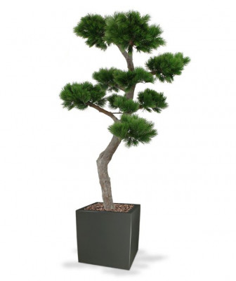 Mākslīgais priedes bonsai koks XL (200 cm) UV