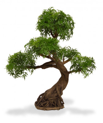 Konstgjord Bonsai Ming Aralia (90 cm) UV