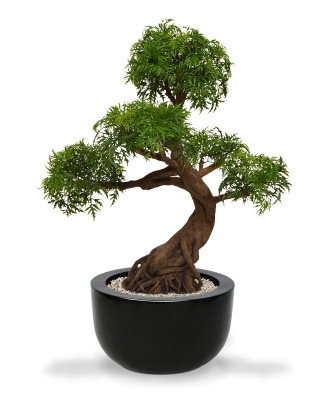 Mākslīgais arālijas bonsai koks (90 cm) UV