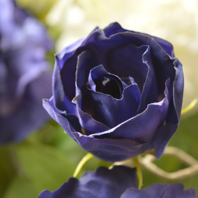 Eustoma 80 cm