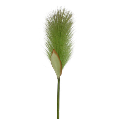 Trawa sztuczna Foxtail (80 cm)