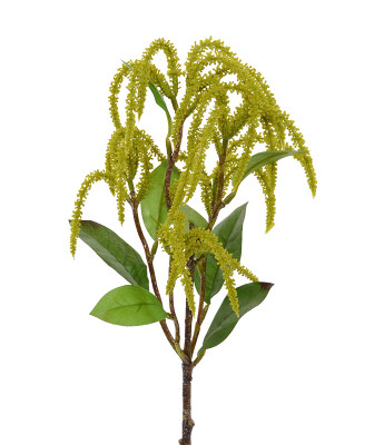 Ramo Amaranthus artificial 55 cm verde
