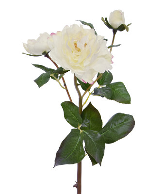 Mākslīgā roze (50 cm)