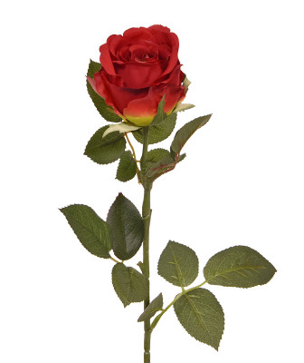 Mākslīgā roze (74 cm)