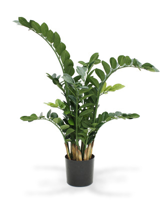 Planta Zamioculcas artificial 100 cm 