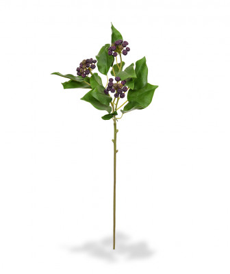 Japonya Holly dalı (60 cm)