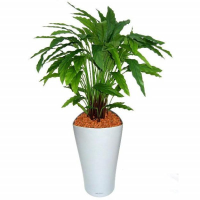 Planta Calathea artificial 85 cm verde