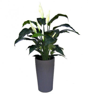 Spathiphyllum artificial Deluxe 80 cm 
