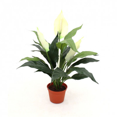 Spathiphyllum artificial 50 cm no pote 