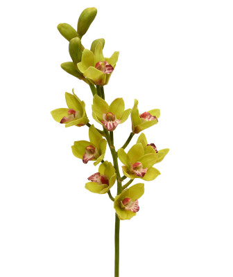 Mākslīgā orhideja Deluxe (70 cm)