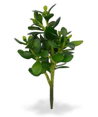 Planta suculenta Crassula artificial 30 cm 