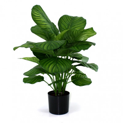 Fasciata Calathea artificial 80 cm