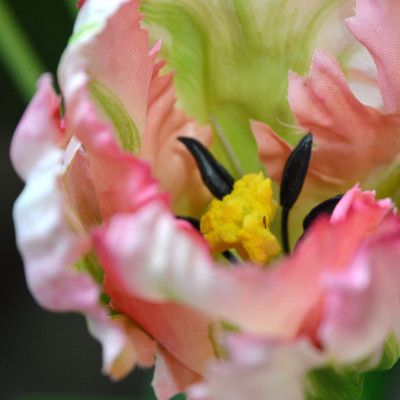 Tulipa de seda van Gogh artificial 70 cm verde-rosa