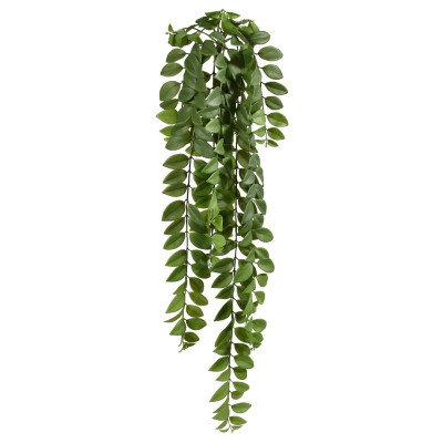 Locust Hanging plant 90cm green