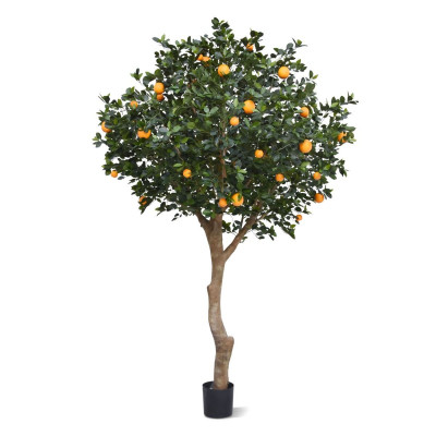 Апельсиновое дерево (275 см)