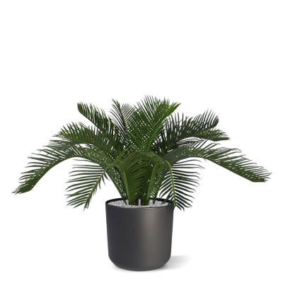 Mākslīgā Cycas palma Deluxe (50 cm)