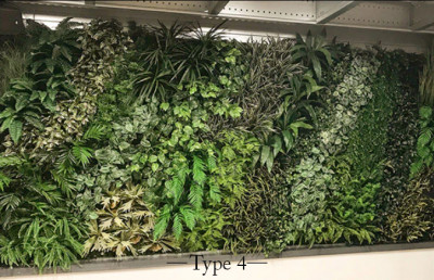 Žalia augalų siena