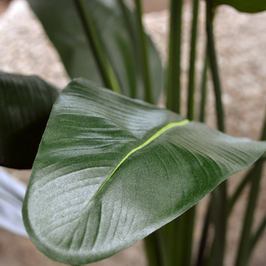 Stort grönt skinande blad på konstgjord palm