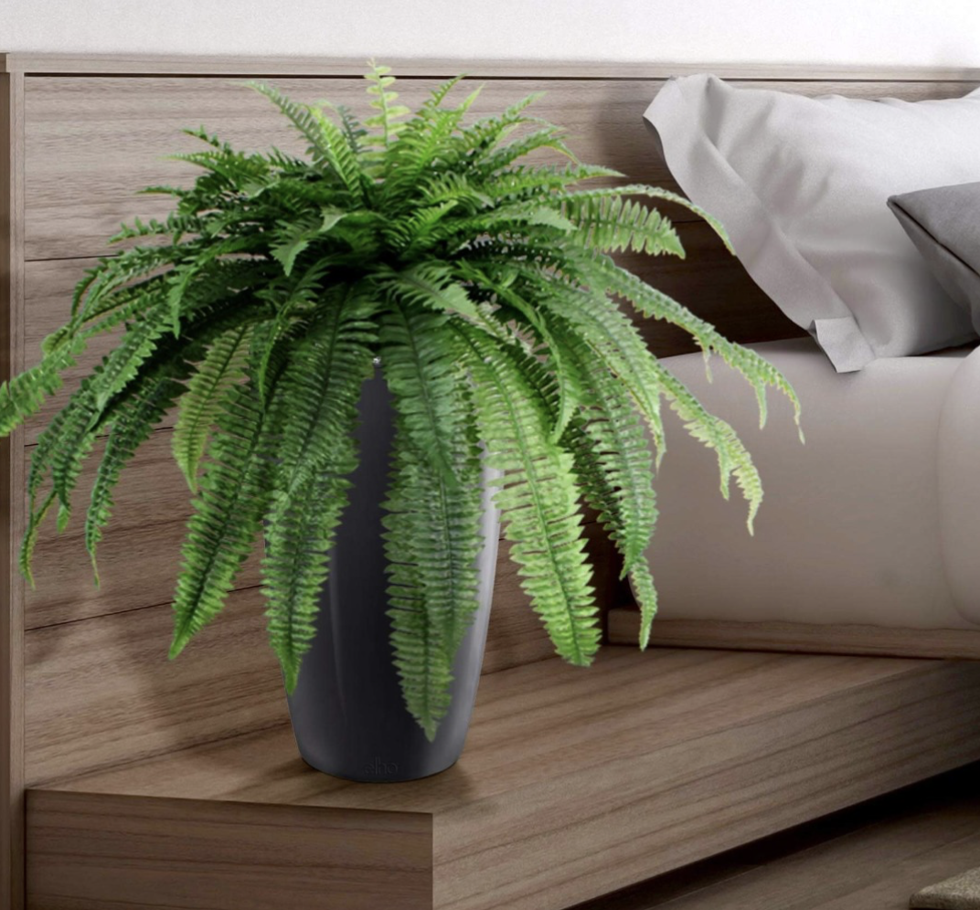 artificial fern