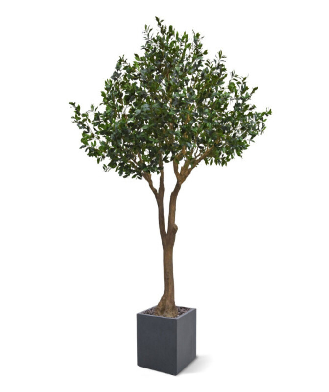 Tall artificial laurel with lush foliage