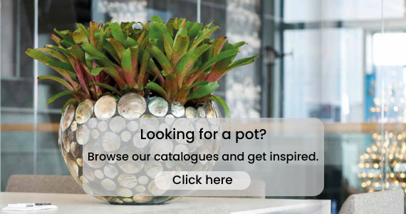 Artificial plants in unique round pot