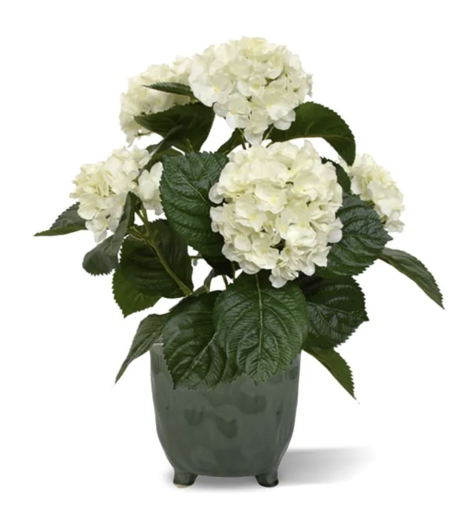 Hortensia (40 cm)