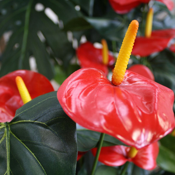 konstgjord flamingoblomma