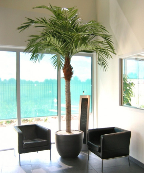 Konstgjord bäckpalm