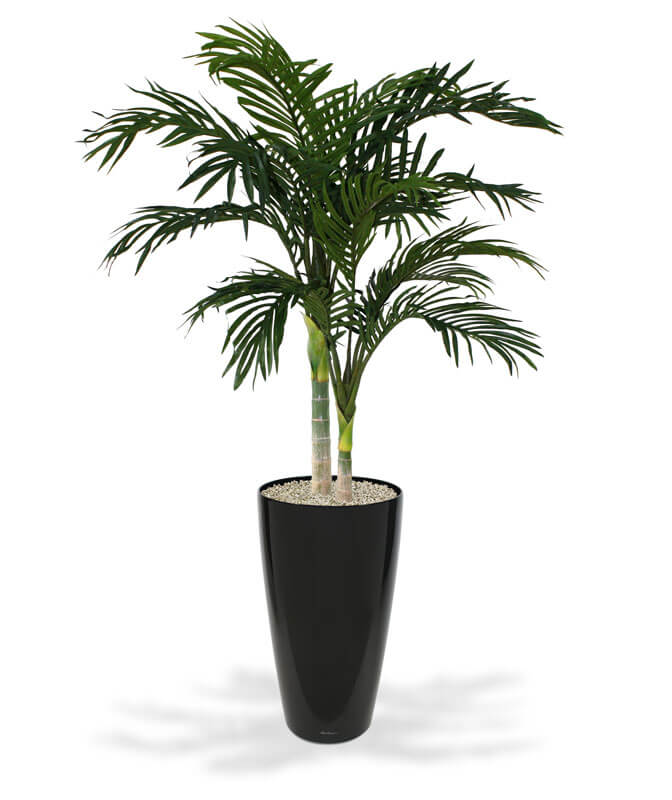 Egzotiška dirbtinė fenikso palmė baltame vazone