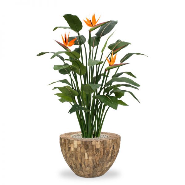 artificial strelitzia