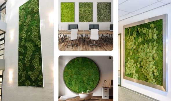 Moss paintings that cover the walls indoor
