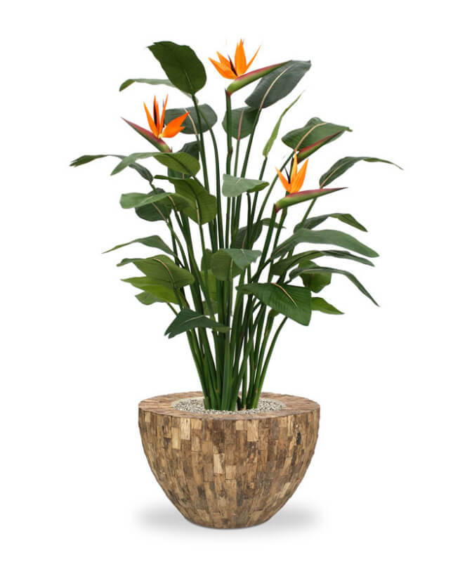 Lively artificial strelitzia with beautiful orange flowers