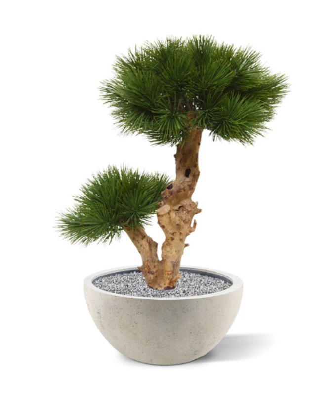 Konstgjord Tall bonsai (55 cm) UV